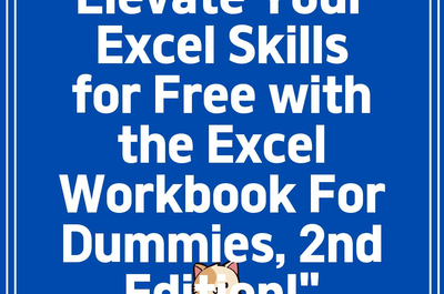 Elevate Your Excel Skills for Free with the Excel Workbook For Dummies, 2nd Edition!”