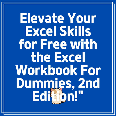 Elevate Your Excel Skills for Free with the Excel Workbook For Dummies, 2nd Edition!”